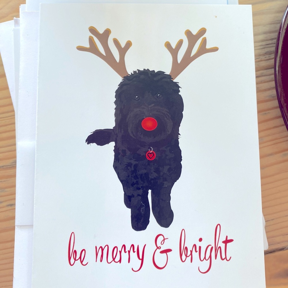 Doodle Holiday Cards